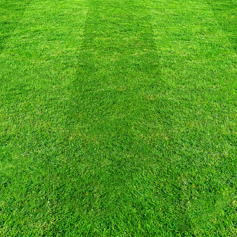 Tyne Lawns Img 01